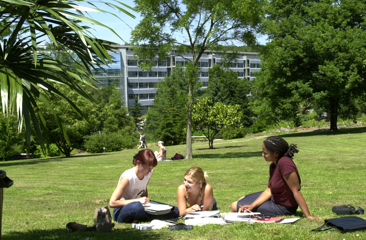 Interkulturelle Bewerbertraining der DFH