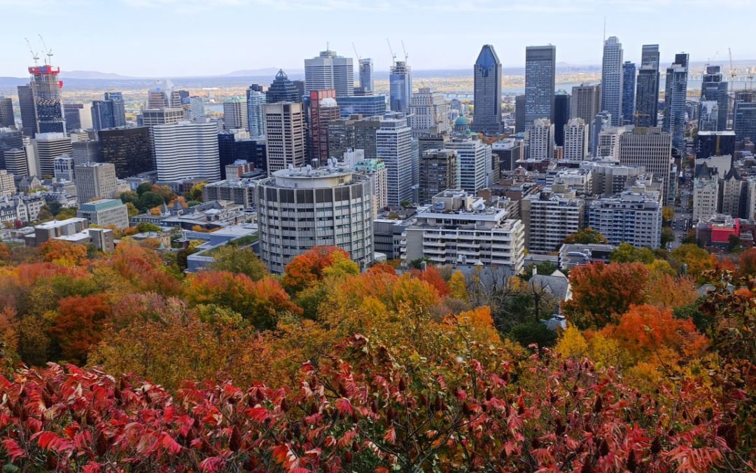 Séjour à Montréal pour deux anciens du CJFA